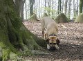 Maerz-April 2009038